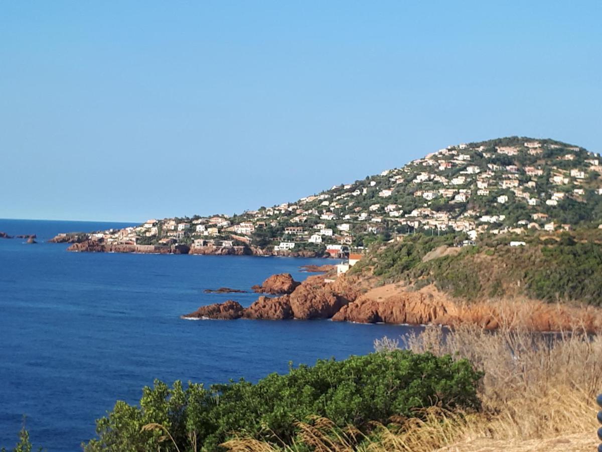 Frejus Plage T2, Piscine, Parking, Plages A 200M Zewnętrze zdjęcie
