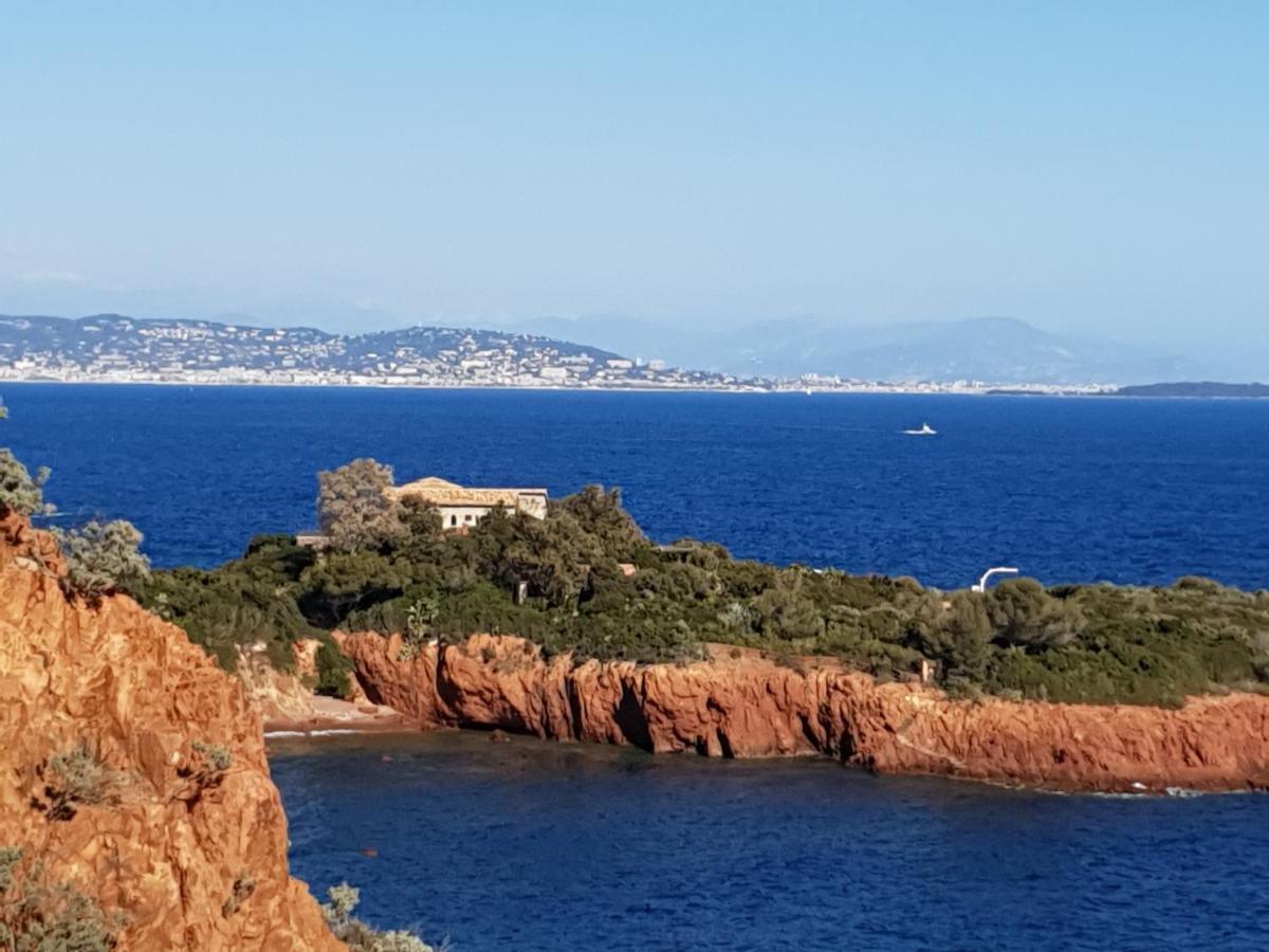 Frejus Plage T2, Piscine, Parking, Plages A 200M Zewnętrze zdjęcie