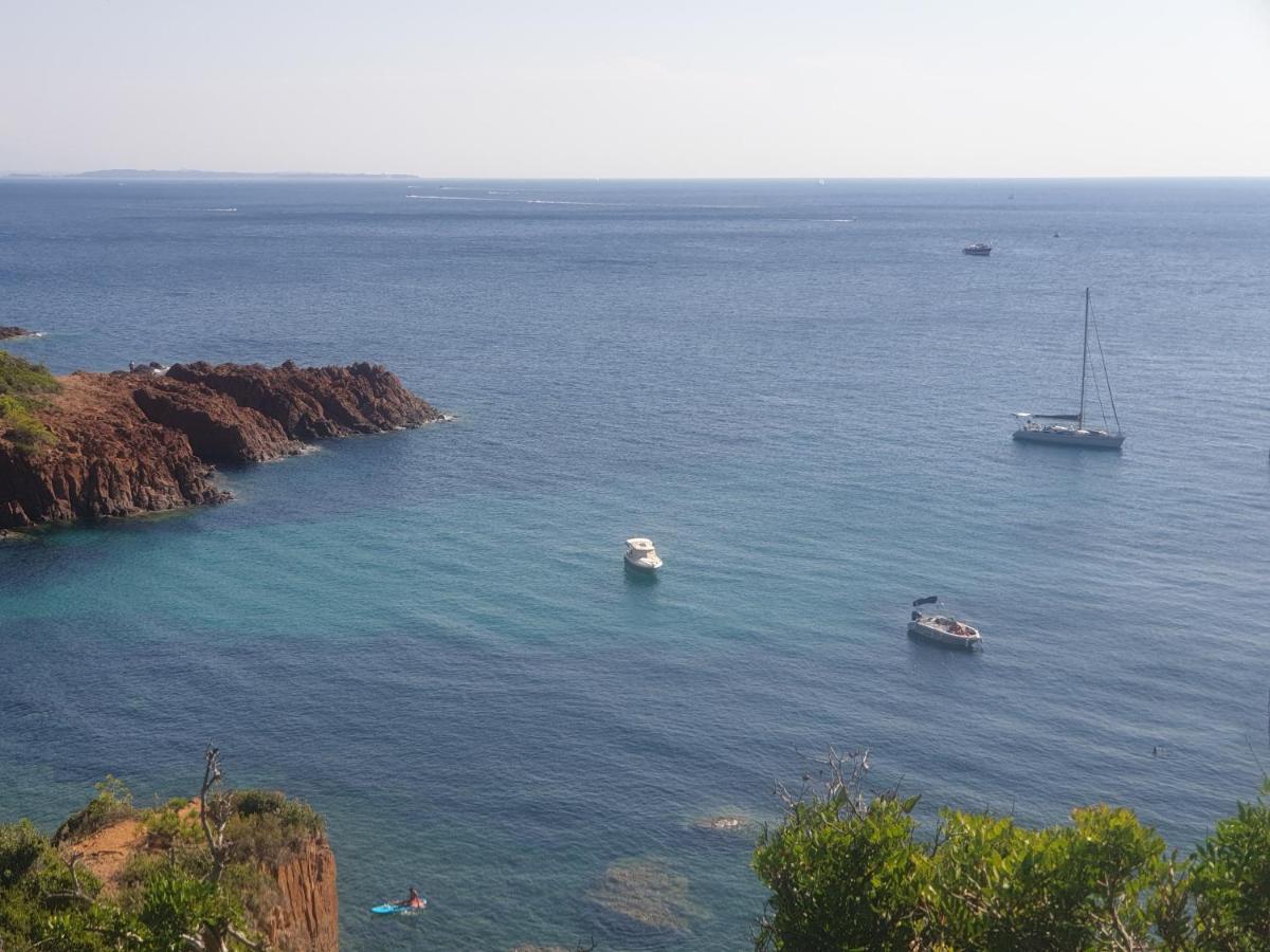 Frejus Plage T2, Piscine, Parking, Plages A 200M Zewnętrze zdjęcie