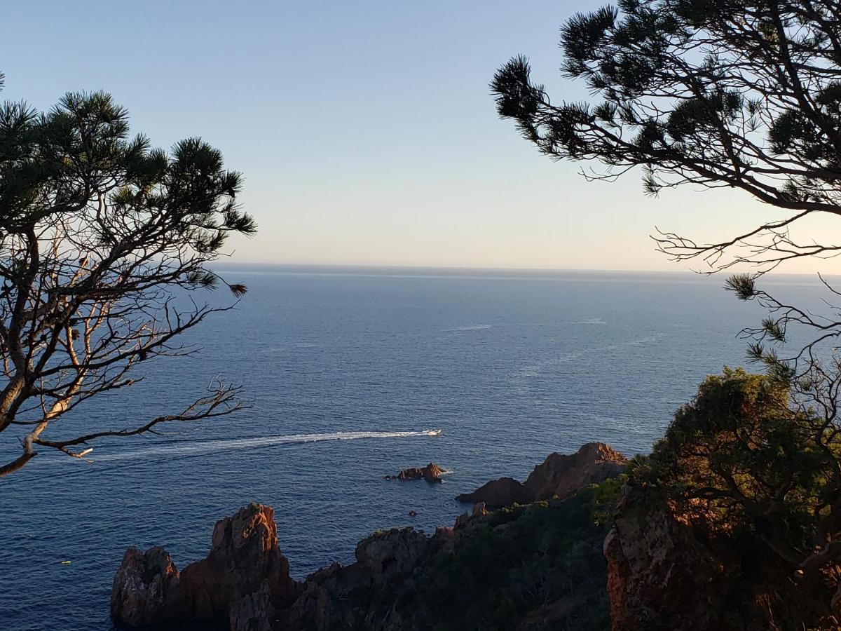 Frejus Plage T2, Piscine, Parking, Plages A 200M Zewnętrze zdjęcie